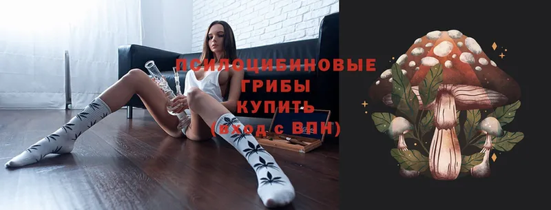 Псилоцибиновые грибы Magic Shrooms  Красавино 